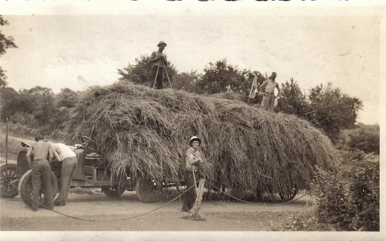 1930s Haying time.. Karl, Walter Schwalb & Kenneth.....jpg