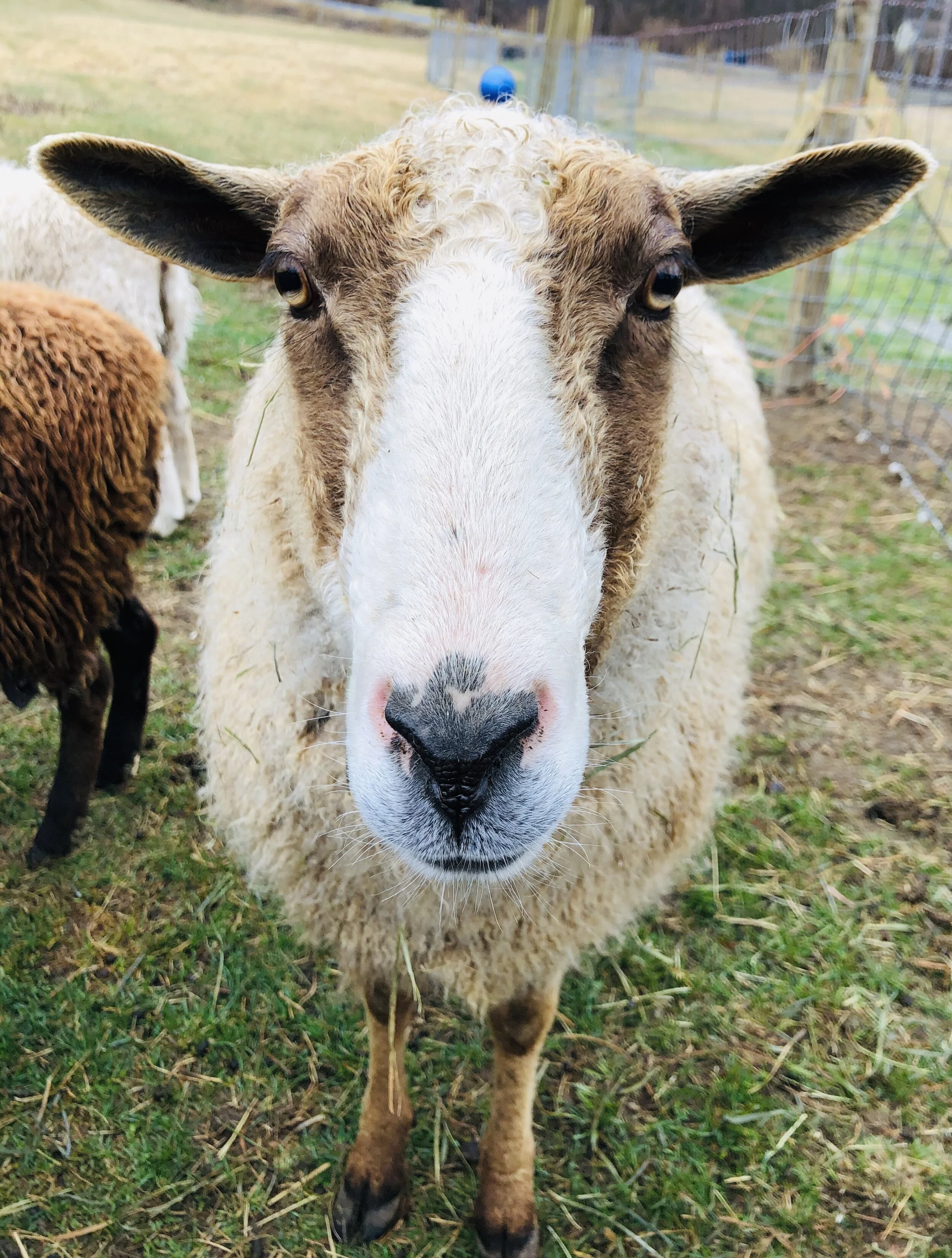 1928EBDE-8A8D-4D61-8D6E-C0684736DAF6