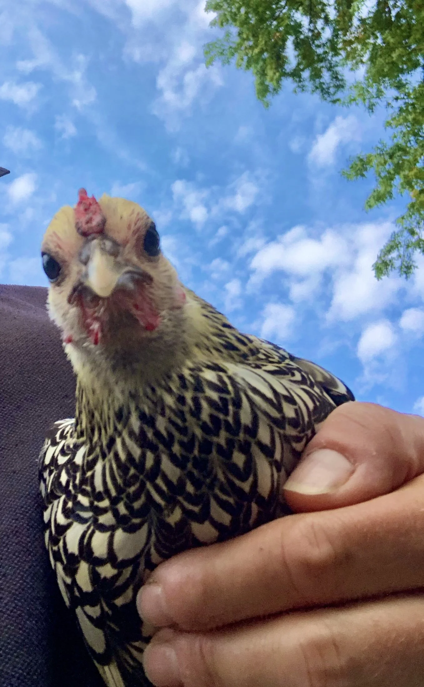 5032E260-DE4B-4F4C-9B5F-08D8C339E13E