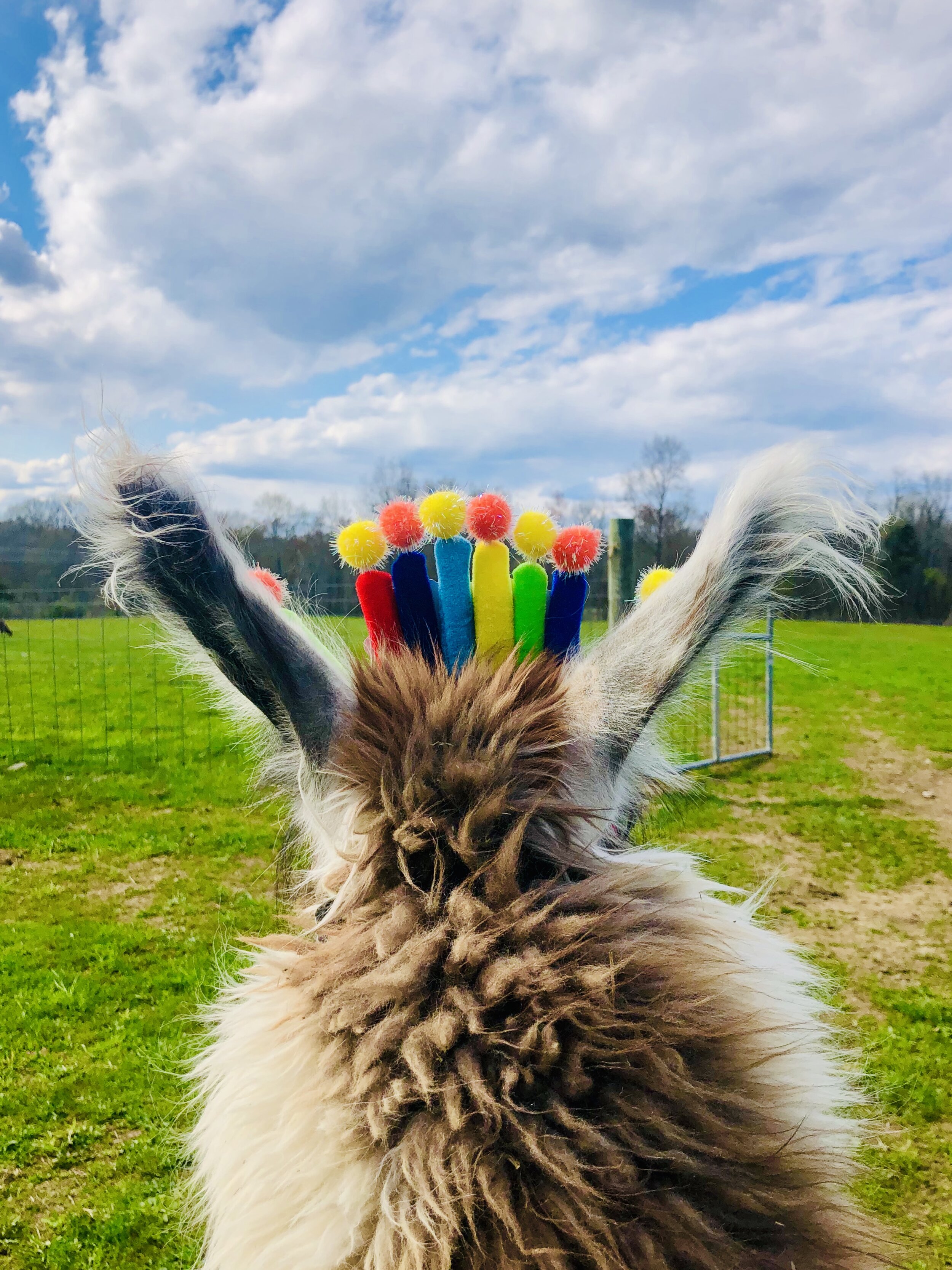 B6ACBD2B-F6E4-40AF-A658-3E3D3262CE01