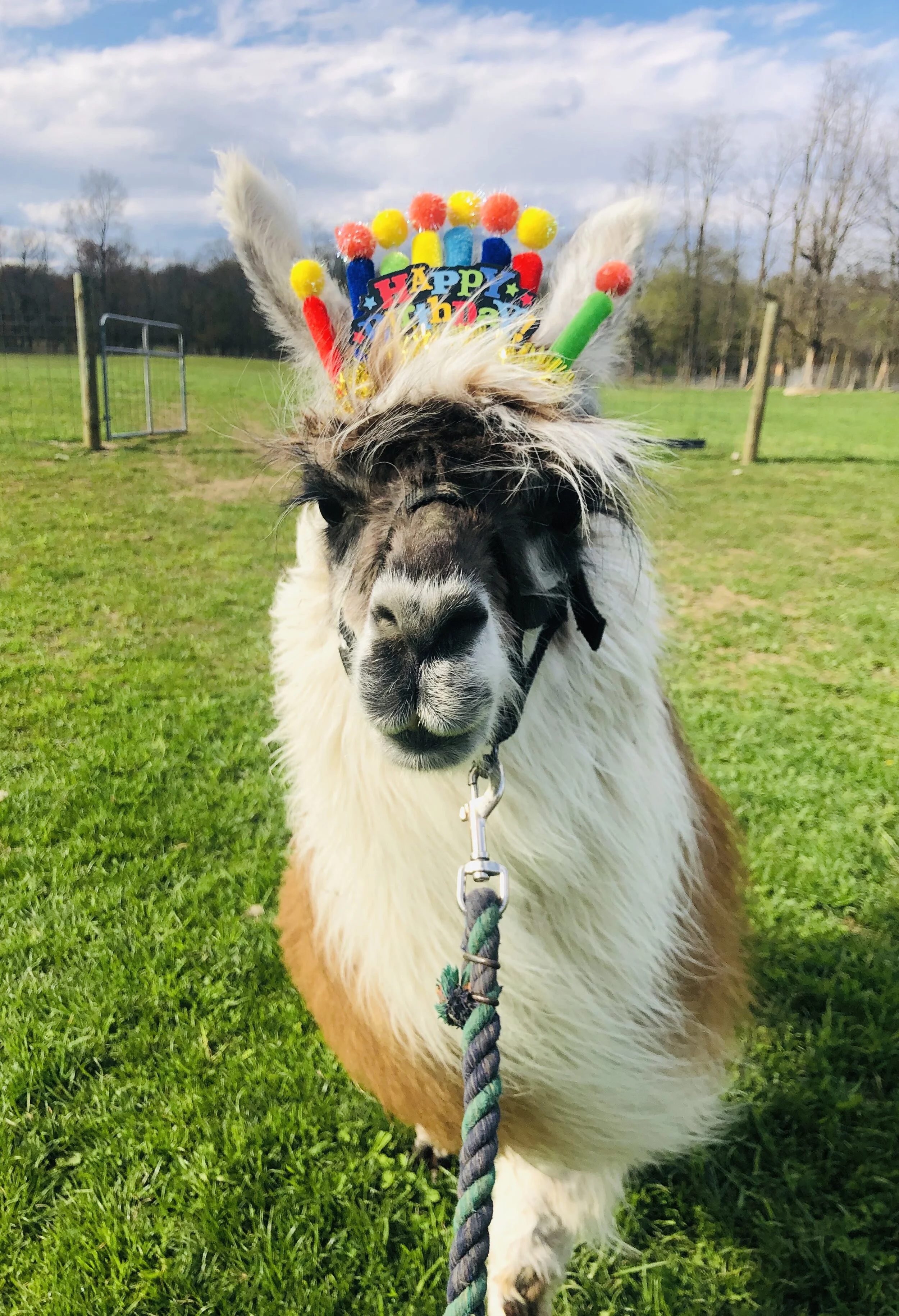 5C452D37-3E8B-42C4-A8E6-25C278F4D0E0