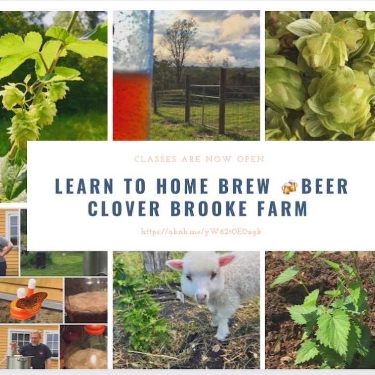 A9DFE87F-0FD7-47AE-B26A-321C33B16A2B 4.JPG