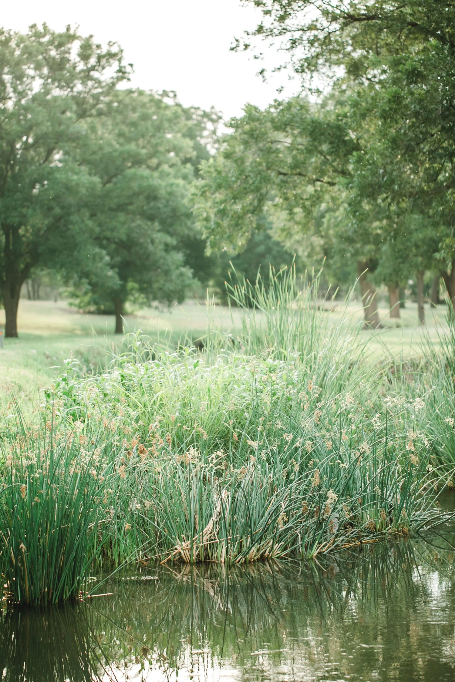 Allison_and_Clay_Smart_Engagements_ALLEEJ_Lubbock_Photographer_0024.jpg