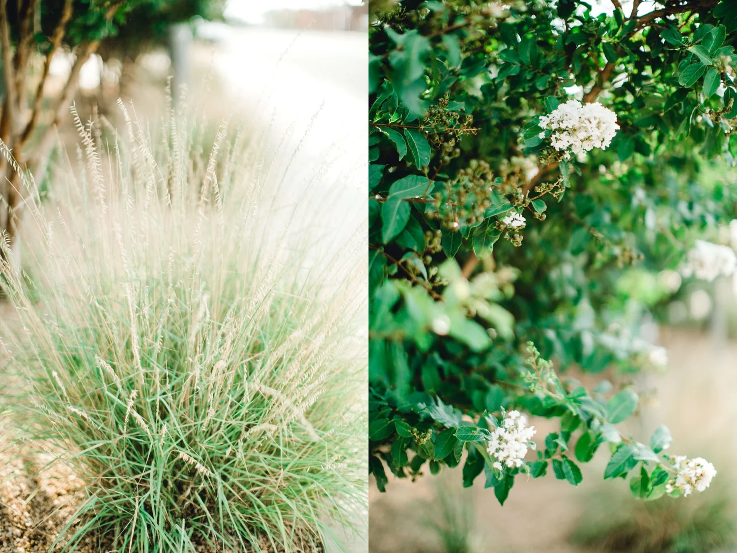 Allison_and_Clay_Smart_Engagements_ALLEEJ_Lubbock_Photographer_0055.jpg