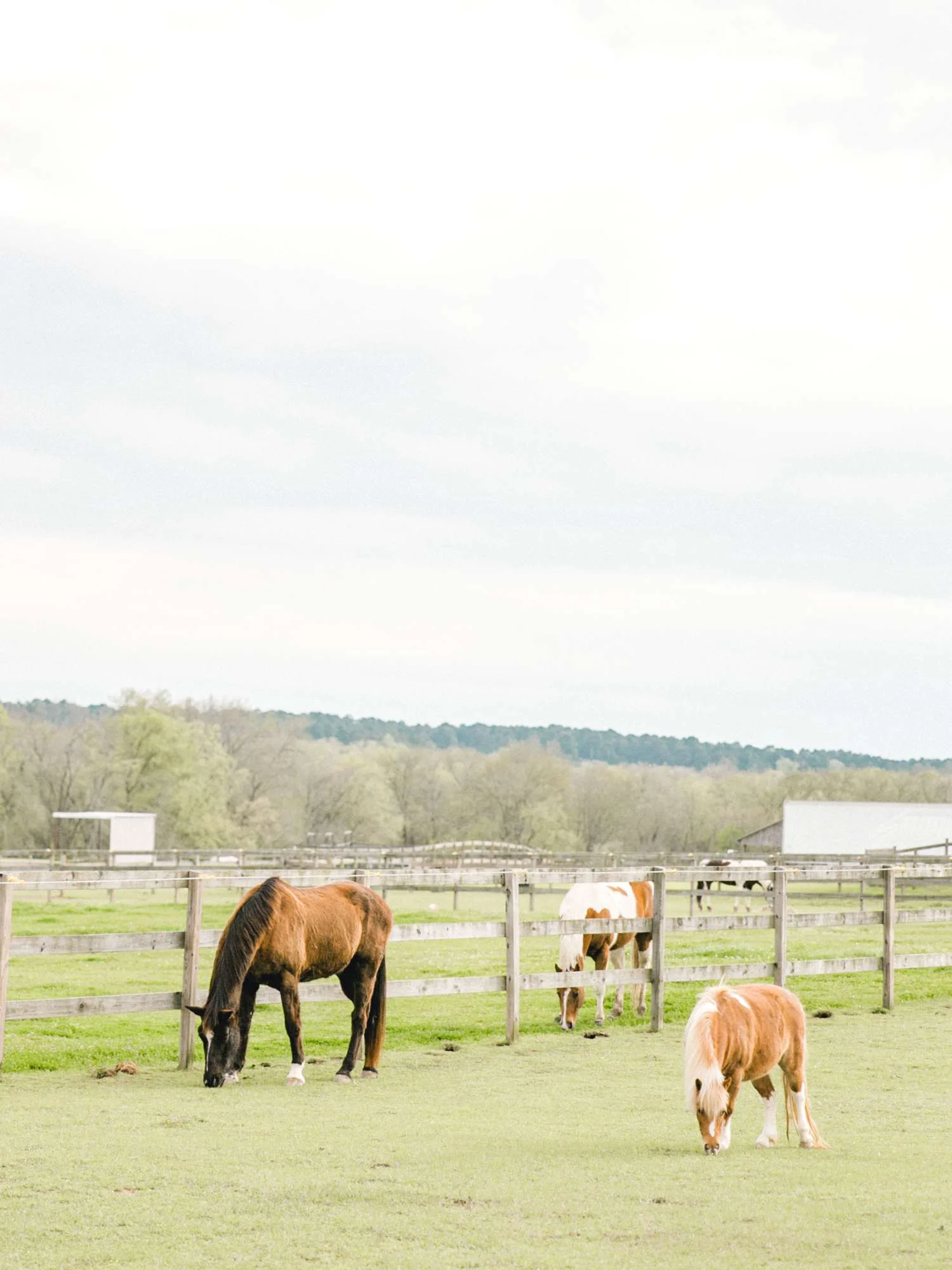 HEBERT_MORGAN_AND_CLAY_ALLEEJ_THE_FARMHOUSE_MONTGOMERY_TEXAS_WEDDING_0071.jpg