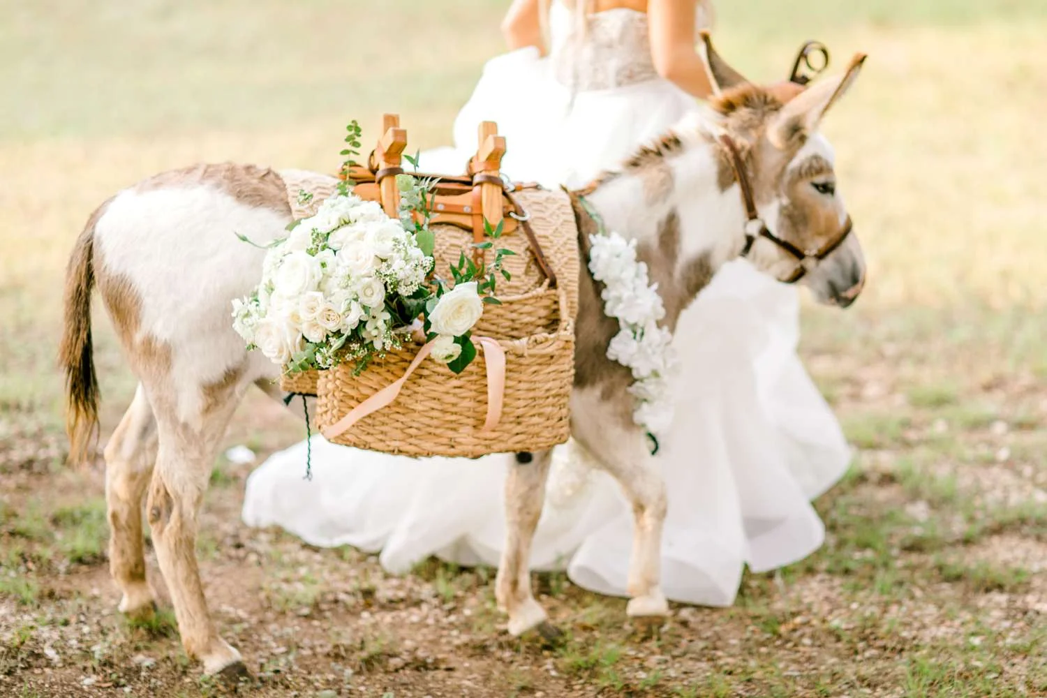 HAYLEE+JUSTIN+GREGORY+HERITAGE_HAUS_AUSTIN_TEXAS_WEDDING_0127.jpg