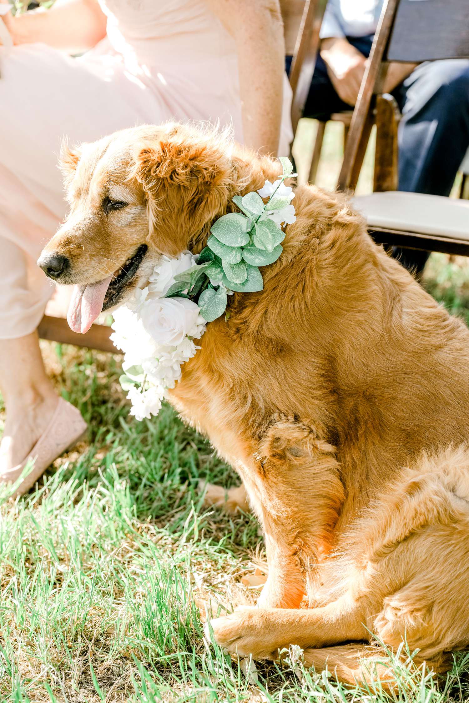 CHELSEA_AND_NICK_ADAMS_FREDRICKSBURG_WEDDING_ALLEEJ0045.jpg