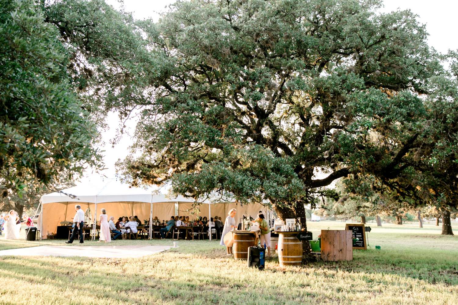 CHELSEA_AND_NICK_ADAMS_FREDRICKSBURG_WEDDING_ALLEEJ0120.jpg