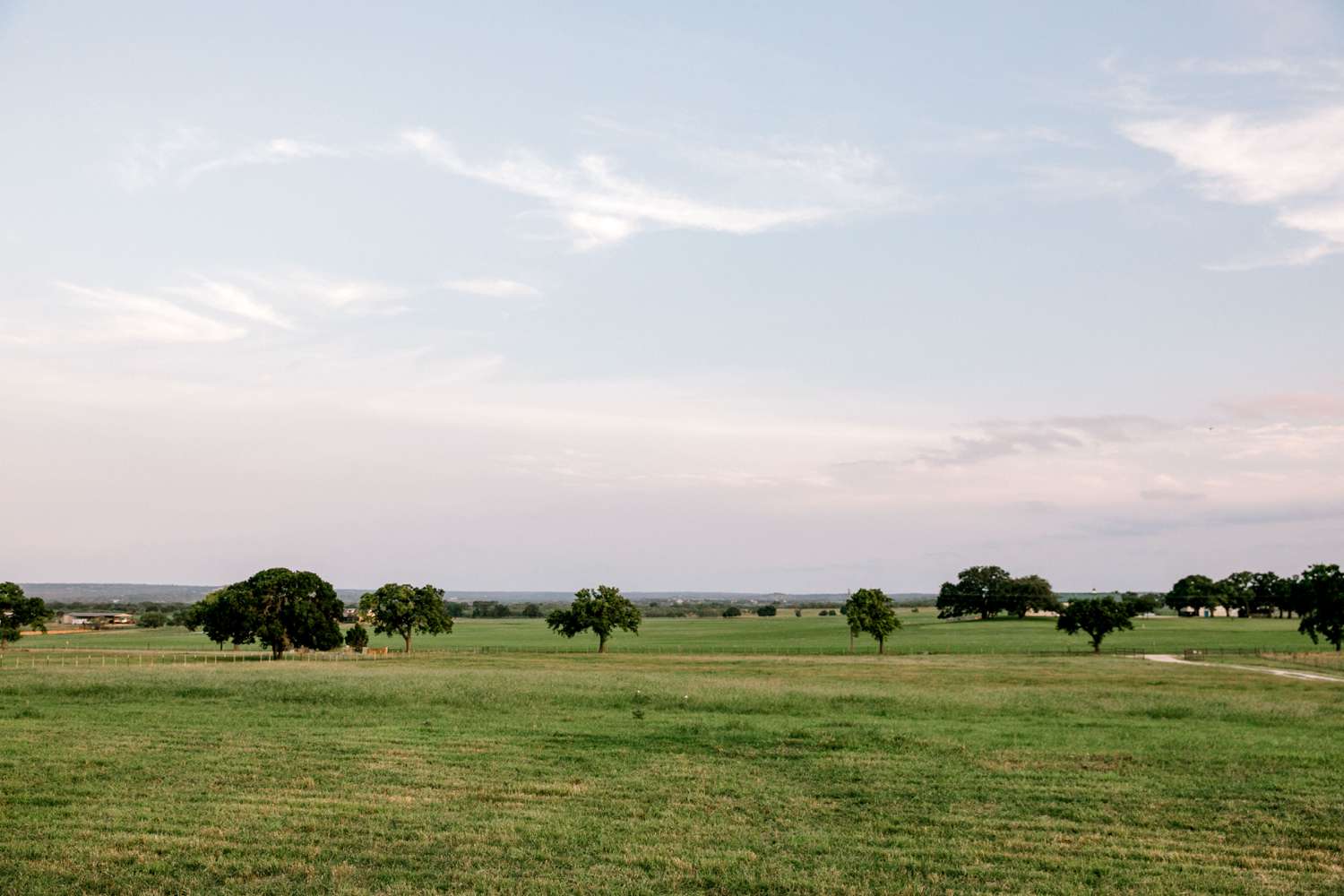 CHELSEA_AND_NICK_ADAMS_FREDRICKSBURG_WEDDING_ALLEEJ0146.jpg