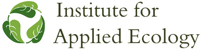 IAE-logo-2lines_409x100.png