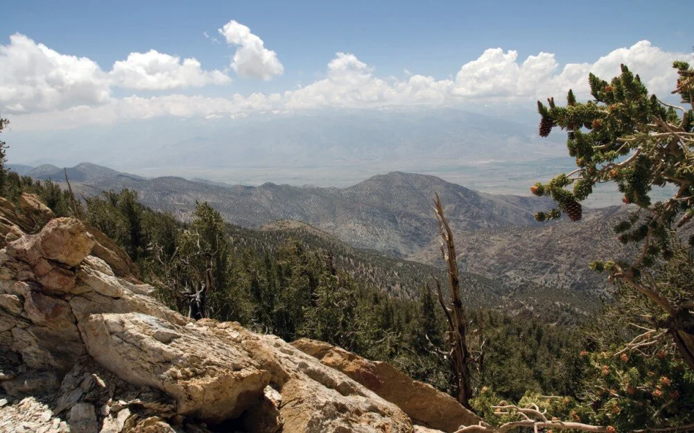 Wildfire Wednesdays #17 - Living with Wildfire Webinar - Pinon Juniper Synthesis - Home Hardening Webinar