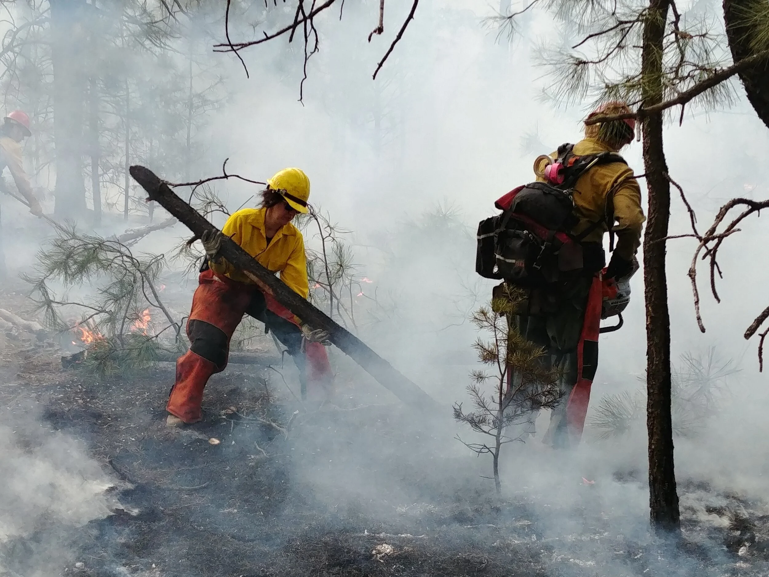 Fire Professionals & Land Managers — Fire Adapted NM