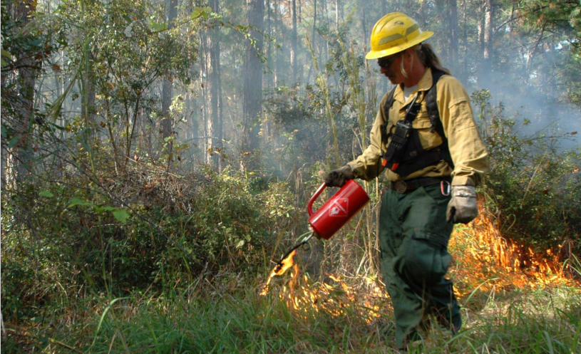 Wildfire Wednesday #95: Reviewing the Review (on Prescribed Fire)