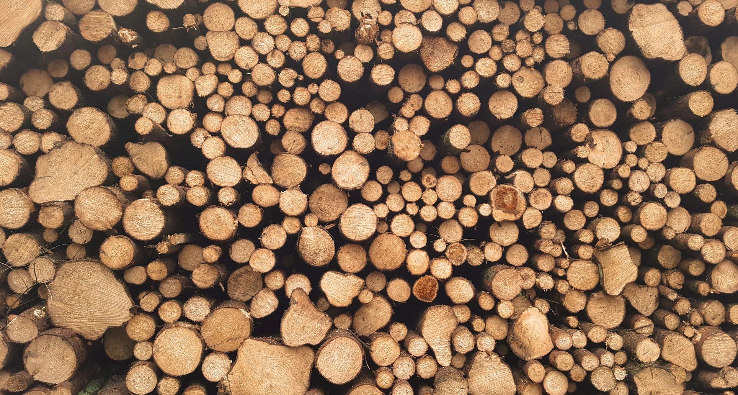 Wildfire Wednesdays #129: Innovations in Biomass Utilization