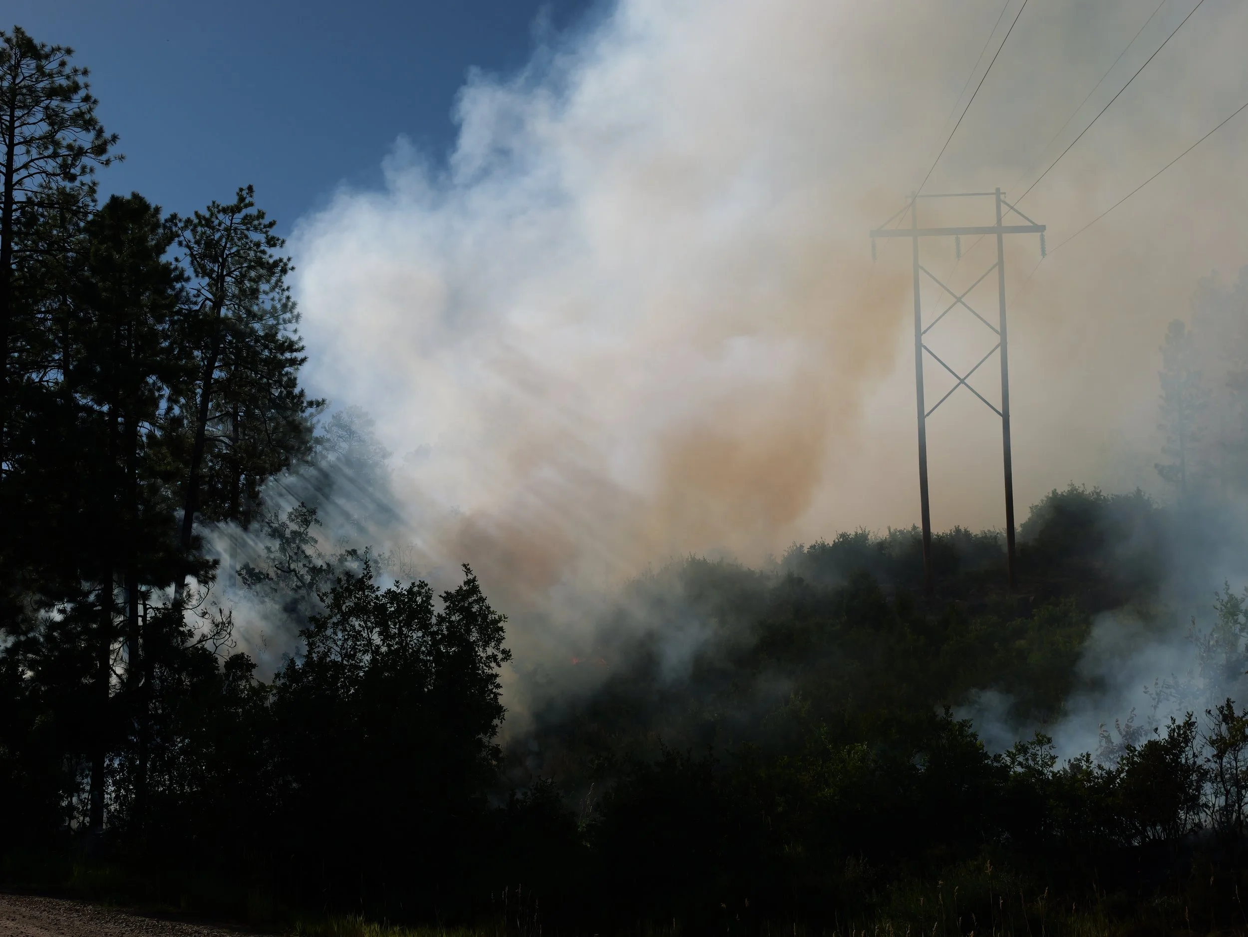 Partner webinar: An Evolution in Thinking About Fire - A Panel Discussion