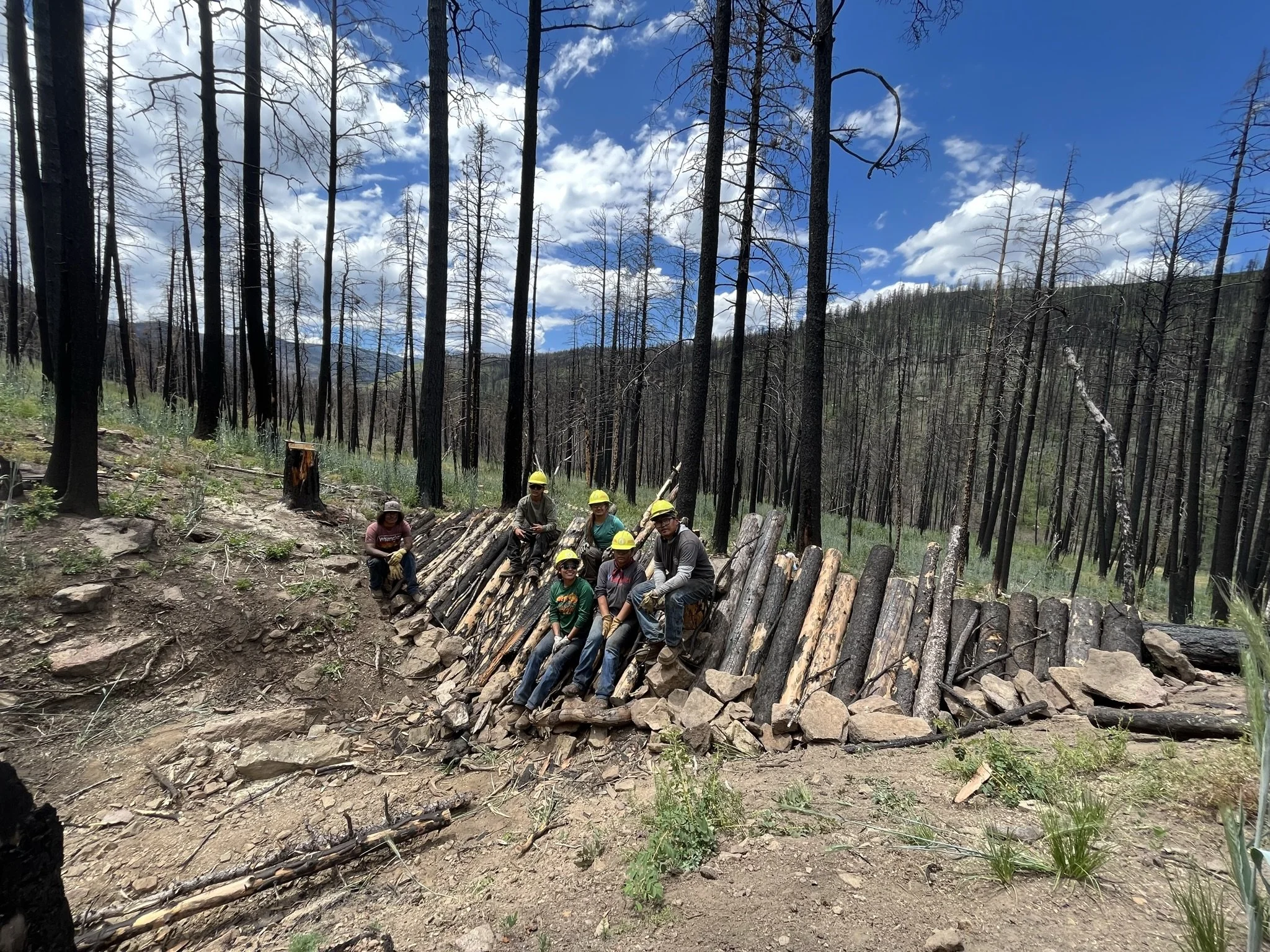 Wildfire Wednesdays #136: Talking to Young People About Natural and Community Disasters