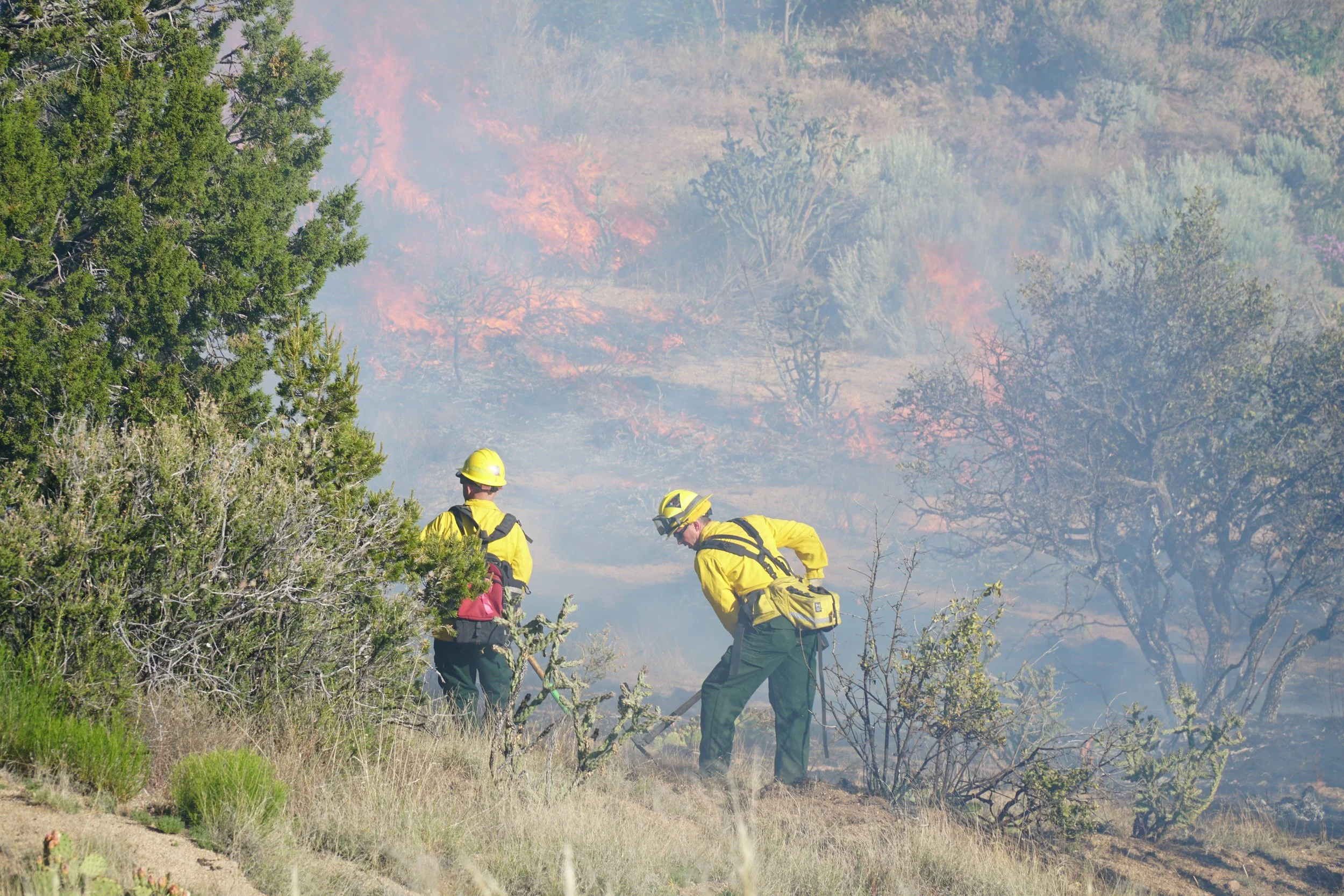 Wildfire Wednesdays #140: Wildland Fire Workforce