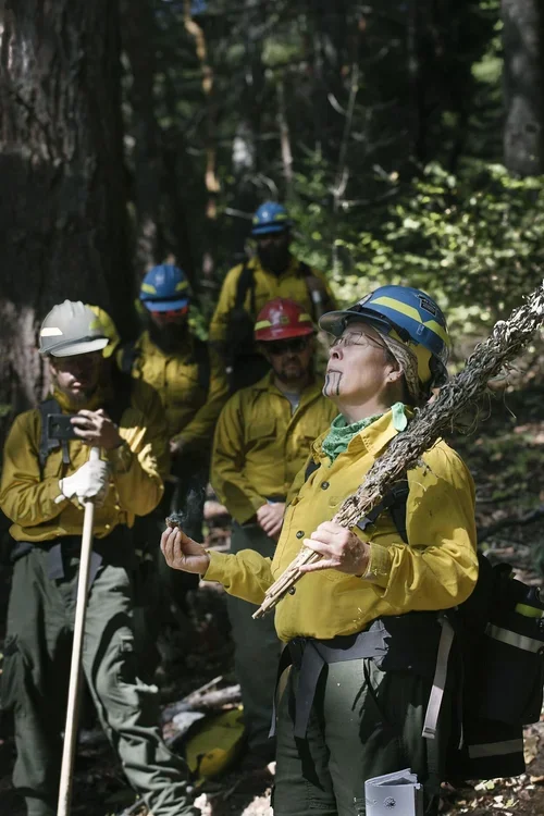 Wildfire Wednesdays #168: Updates on Cultural Forest Practices and Fire Adaptation