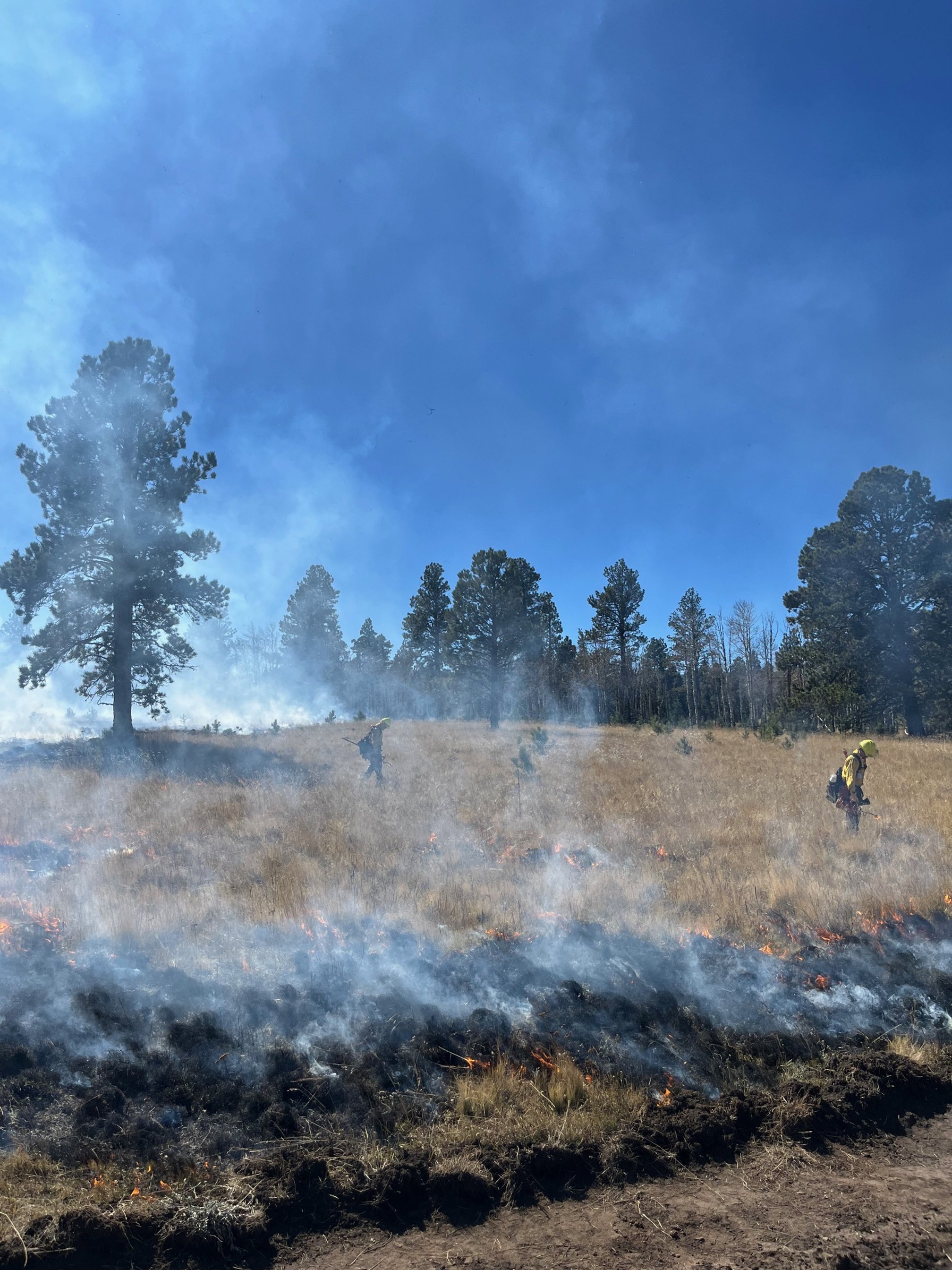 Meadow ignition.jpg