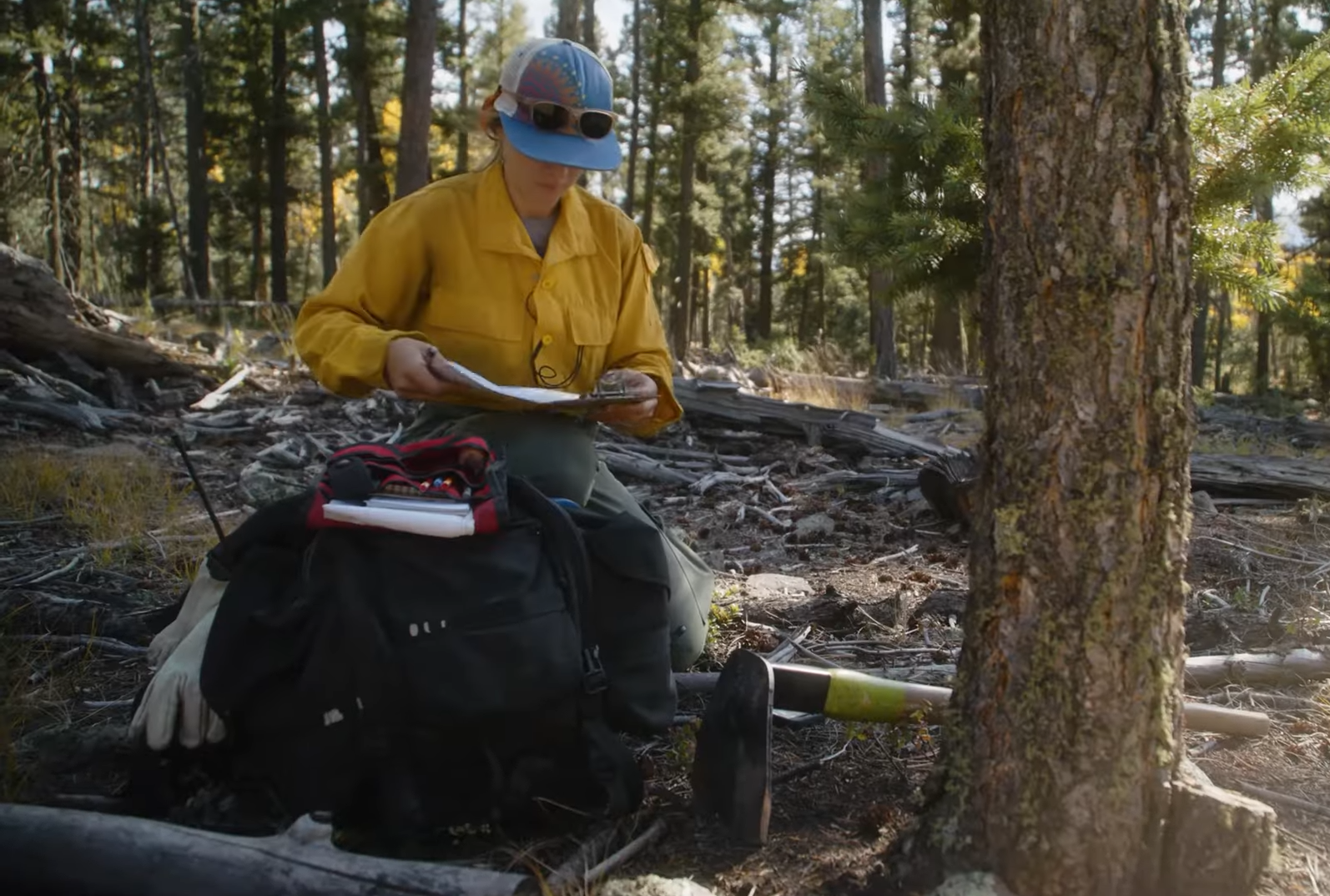 Wildfire Wednesday #176: Evaluating the Effects of Fire (FEMO)