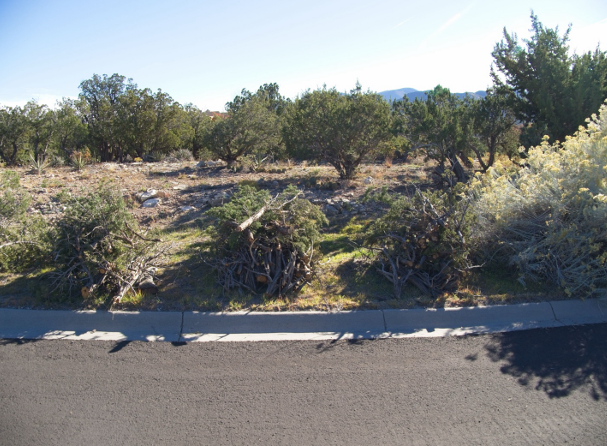 The Spark: Wildfire Preparedness is Year Round (August)