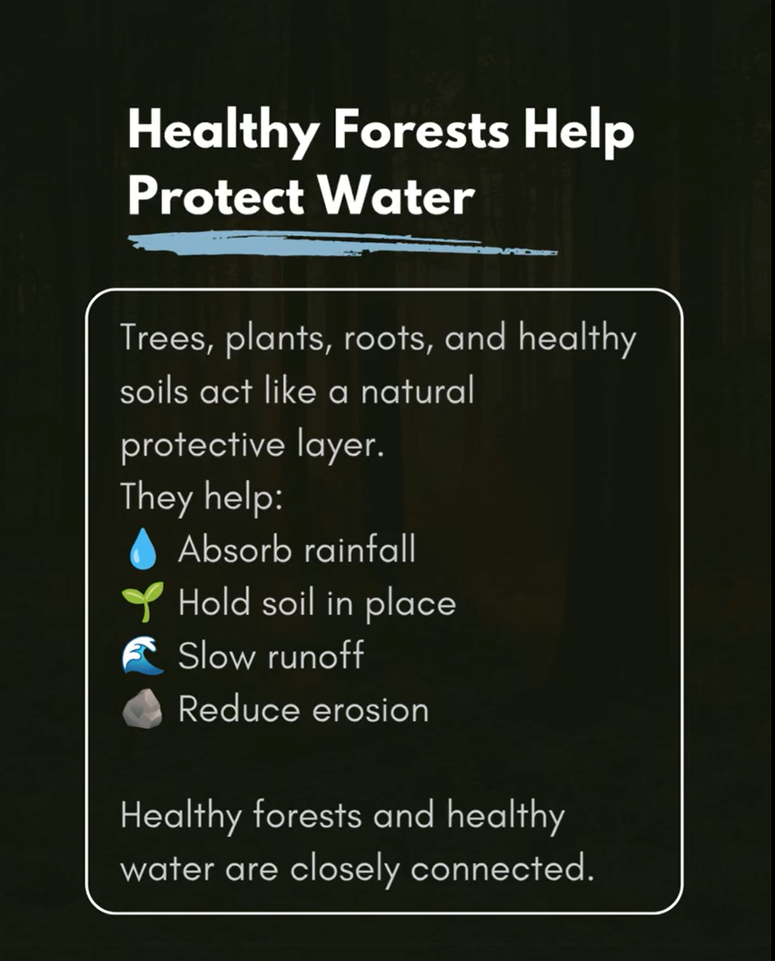 SFWA_WatershedsXFire_1.png