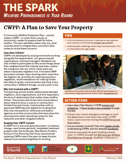 Screenshot of the February bulletin