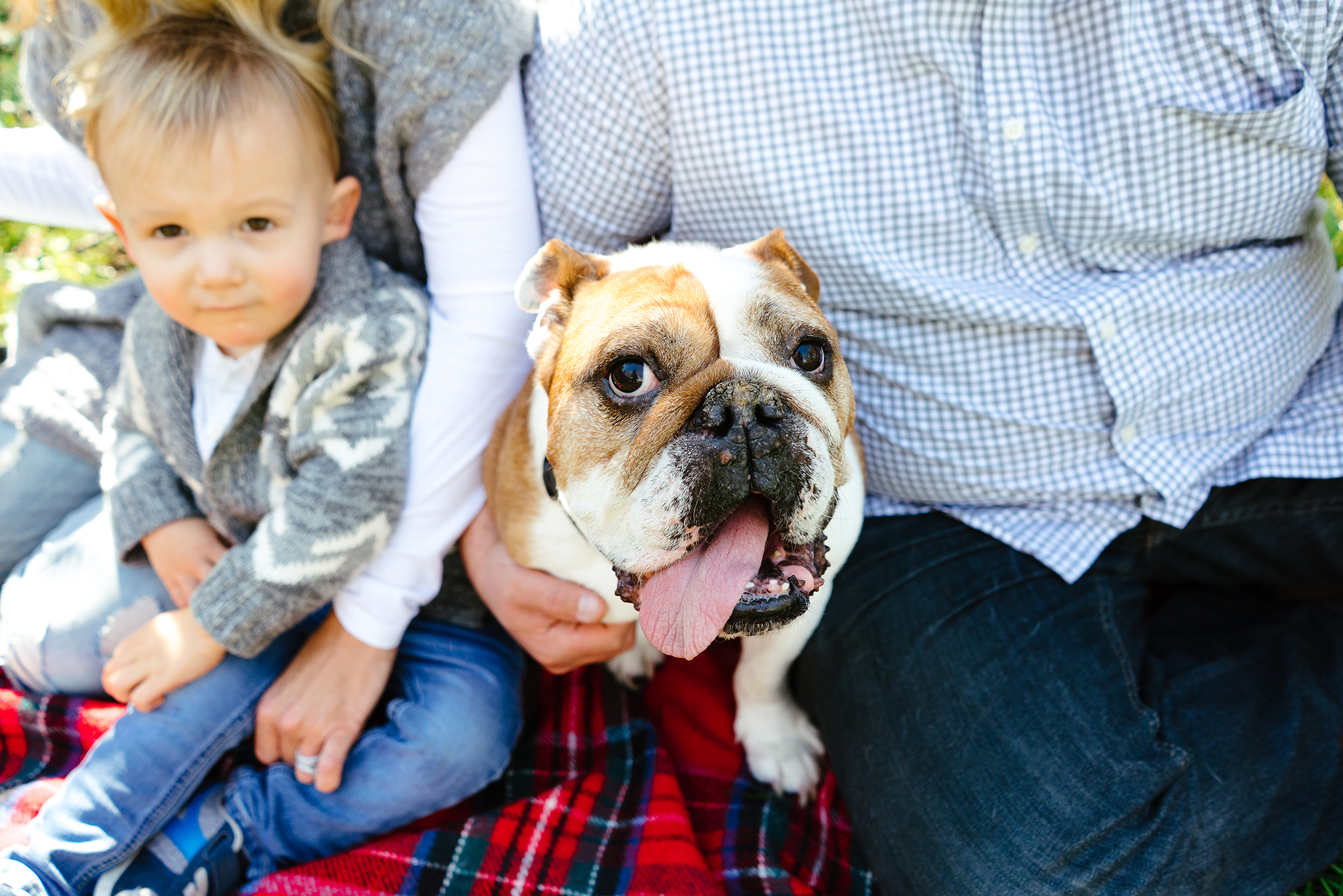 Whidbey Island Family and Pet Portrait Photographer