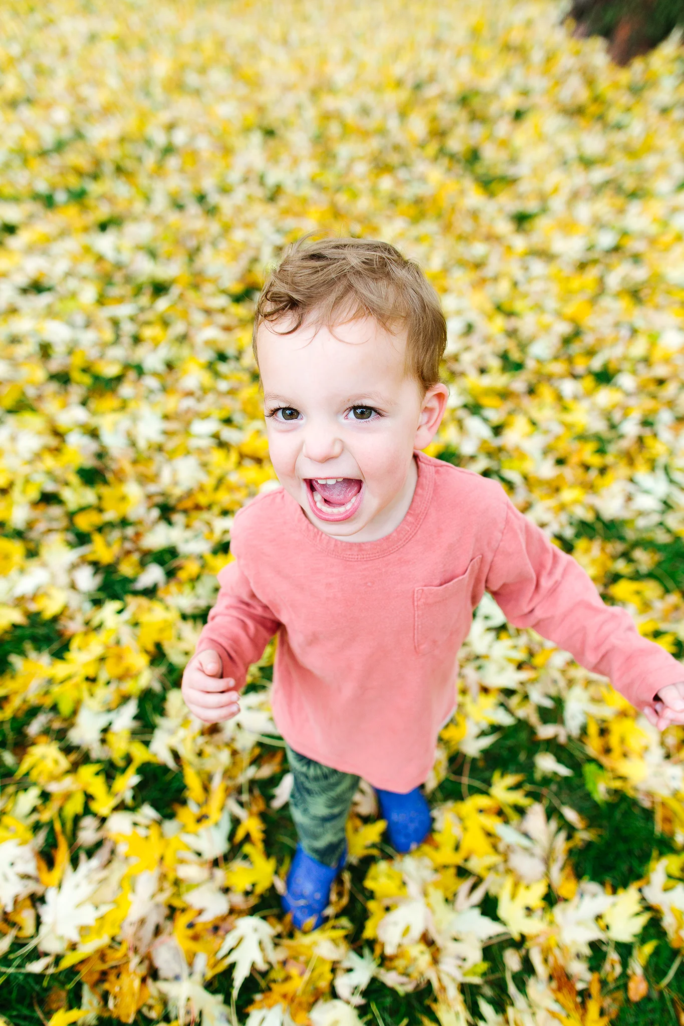 Hello Narwhal - Seattle Family Portrait Photographer