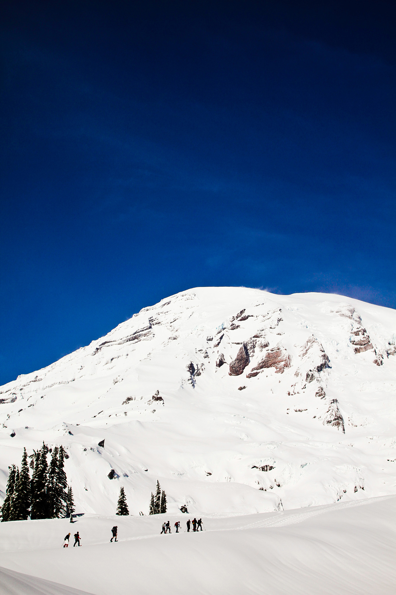 Mount Rainier Adventure Family Portrait Sessions