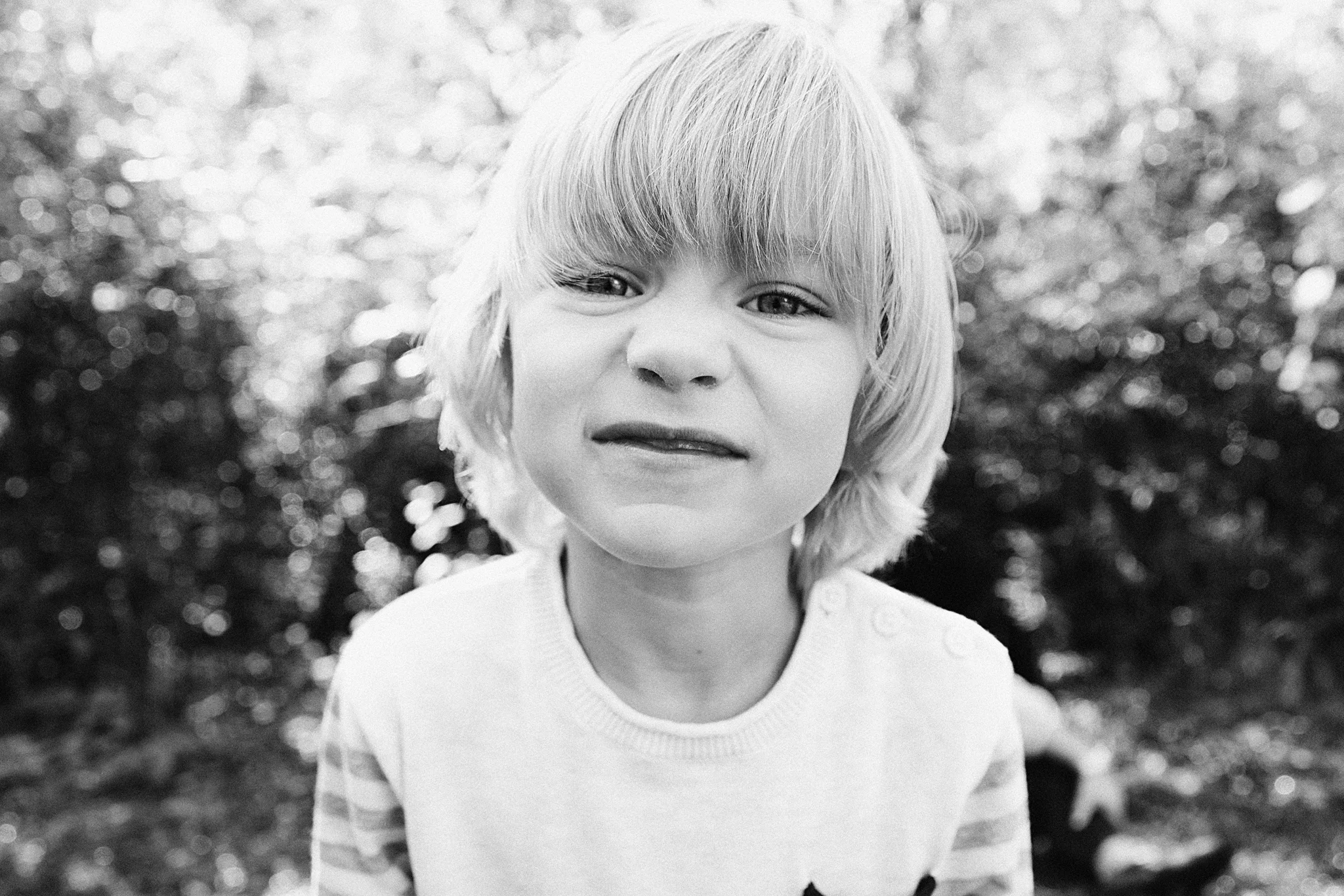 Fall Family Mini Sessions In Seattle Hello Narwhal Seattle Children