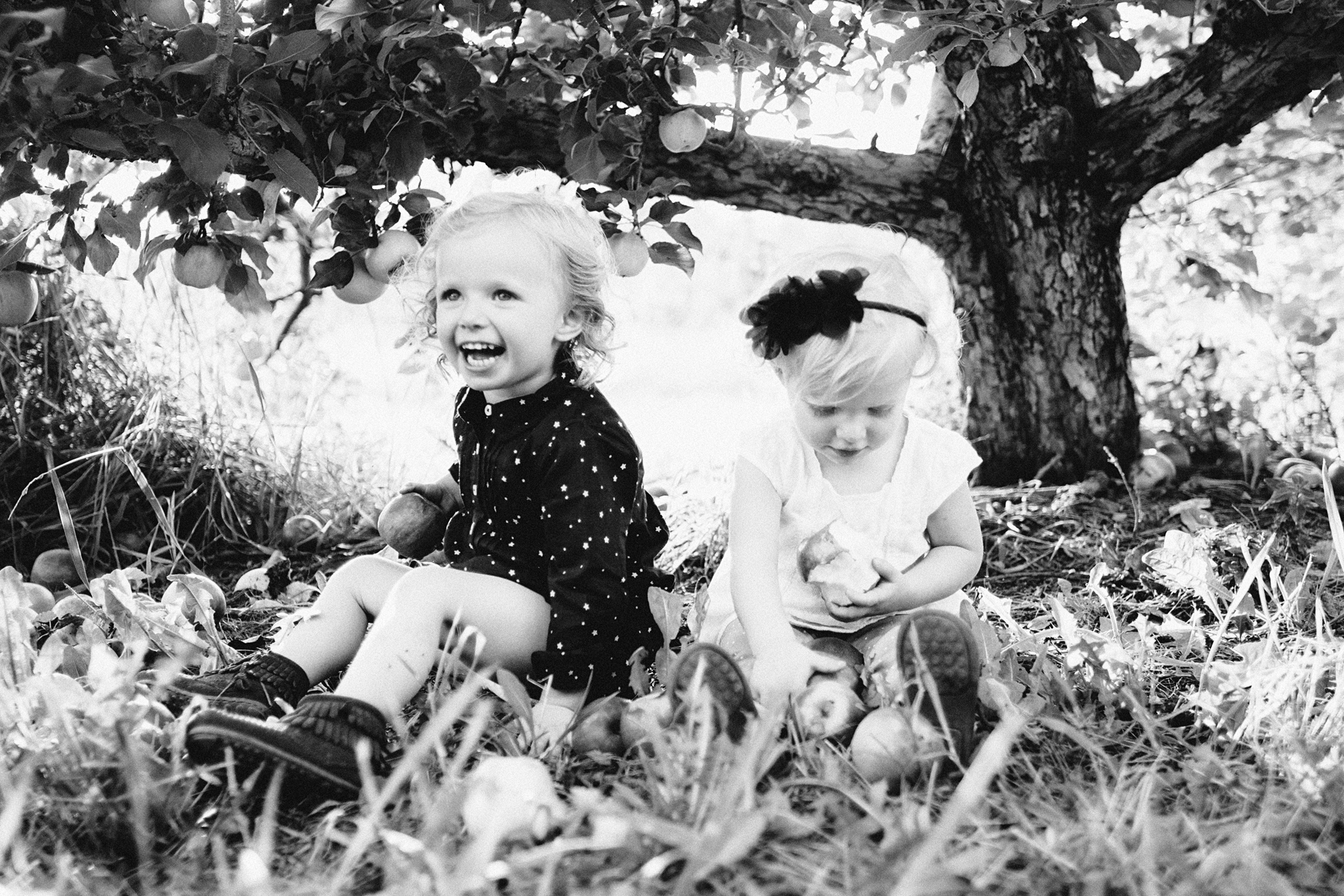 Seattle Family Photos in an Apple Orchard