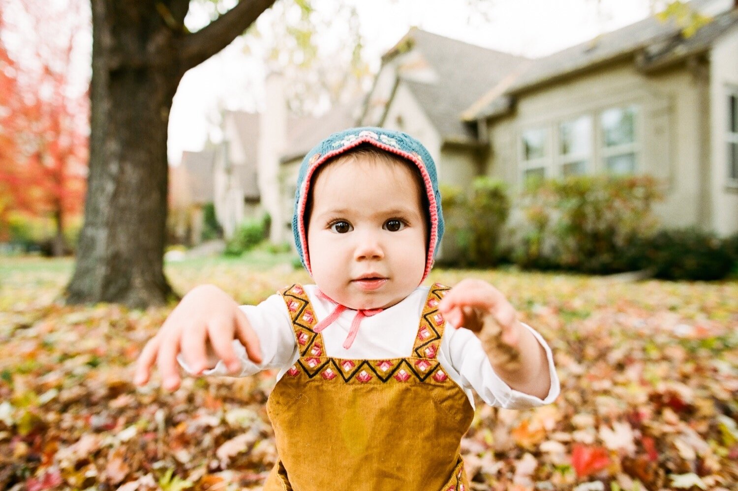 Bothell Family Photographer