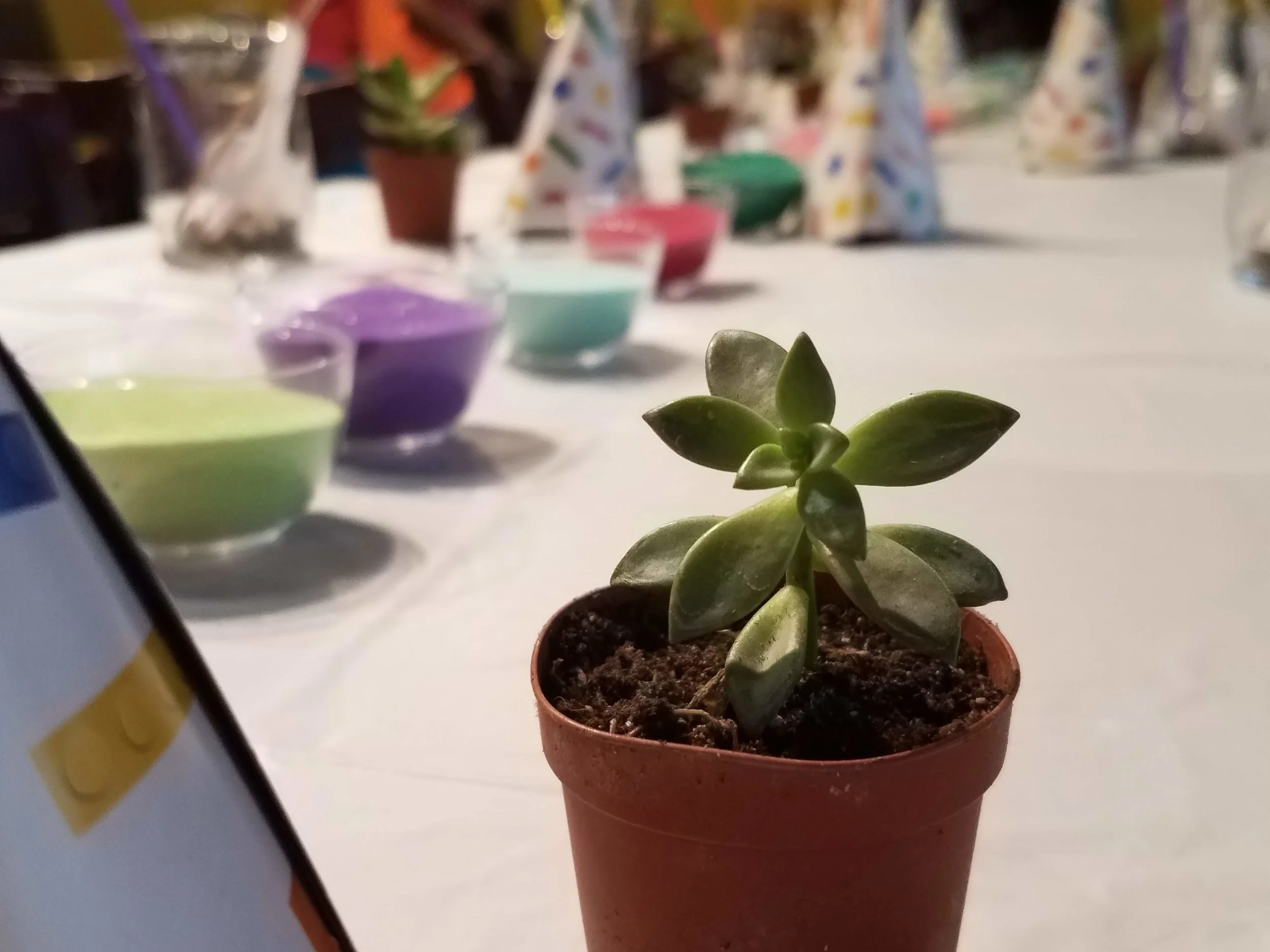20180813_185117.jpg