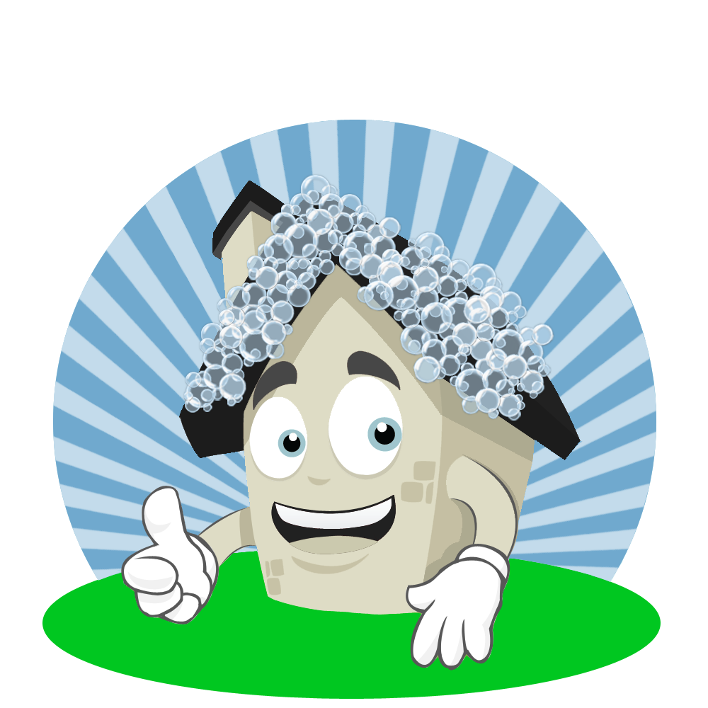 All Washed Up Pressure Washing House Washing Lynchburg