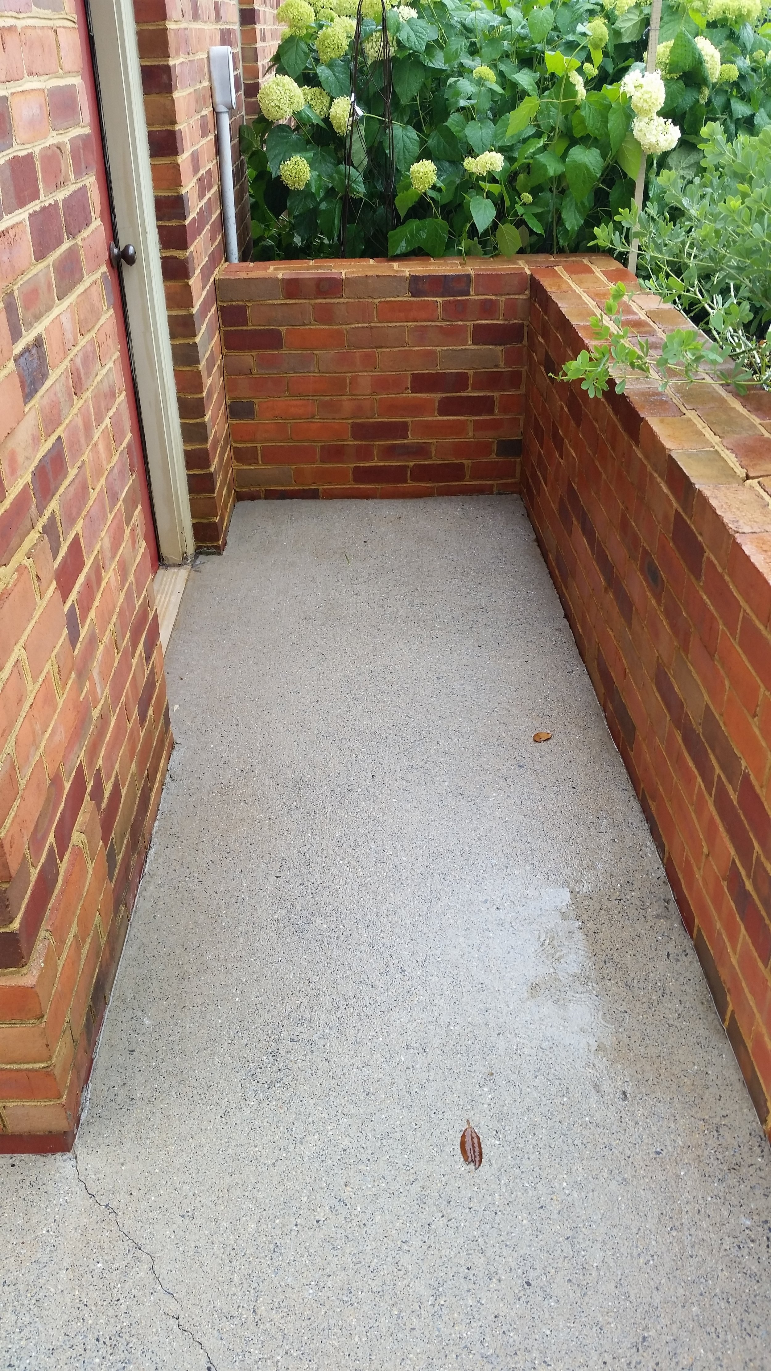 Concrete after.jpg