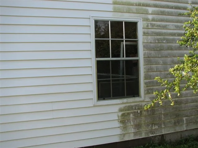 #19 new siding pic.171161645 2.jpg