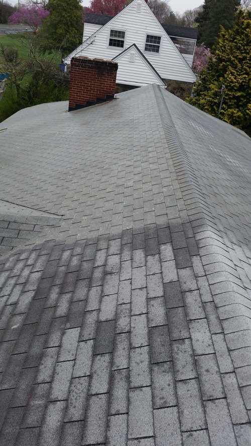 Roof Cleaning Near Me