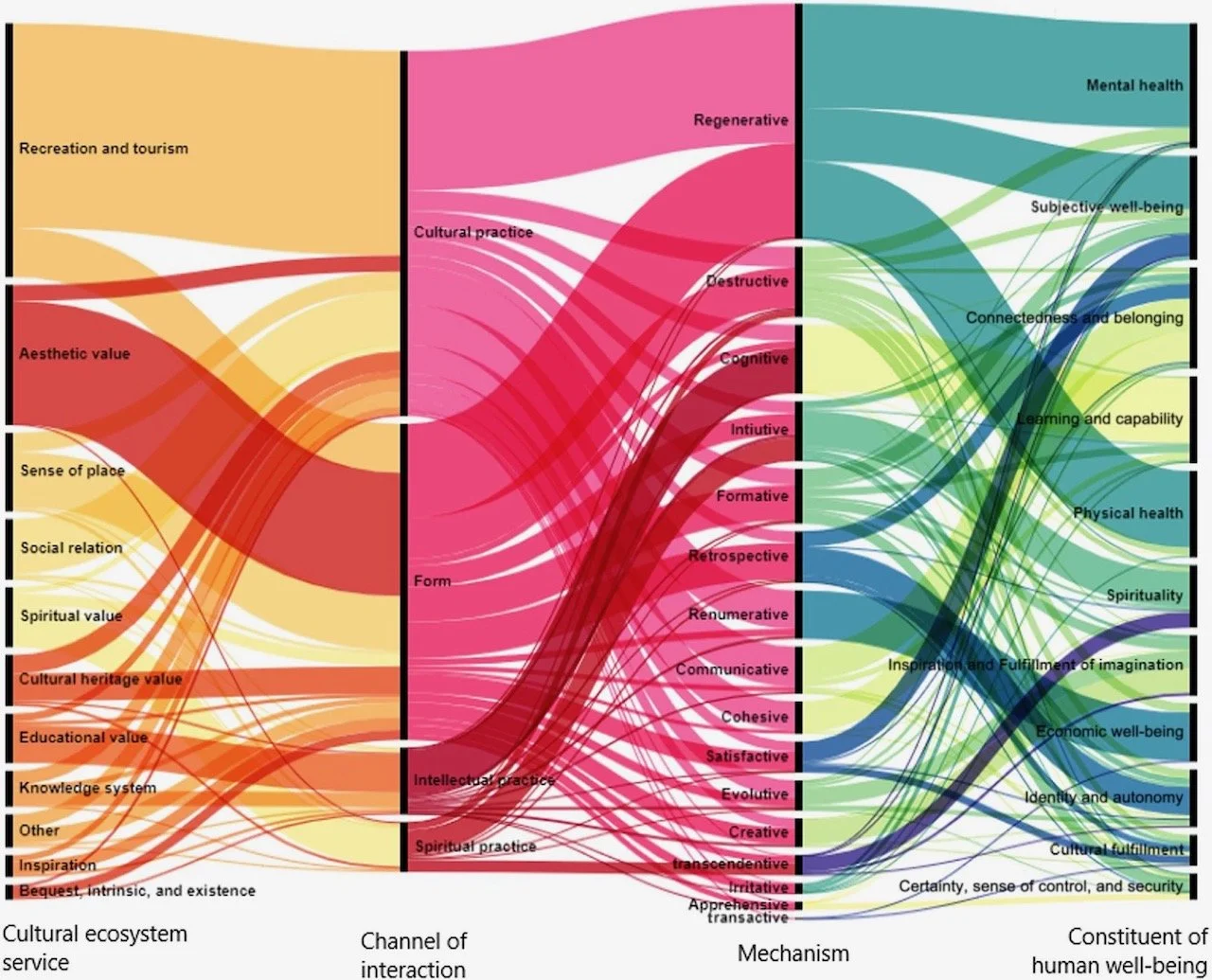 Building H #66: Evidence of Healthy Life