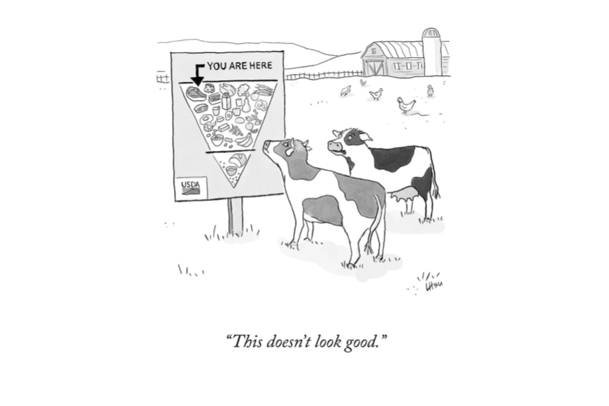 New Food Guidelines: The Steaks Are High