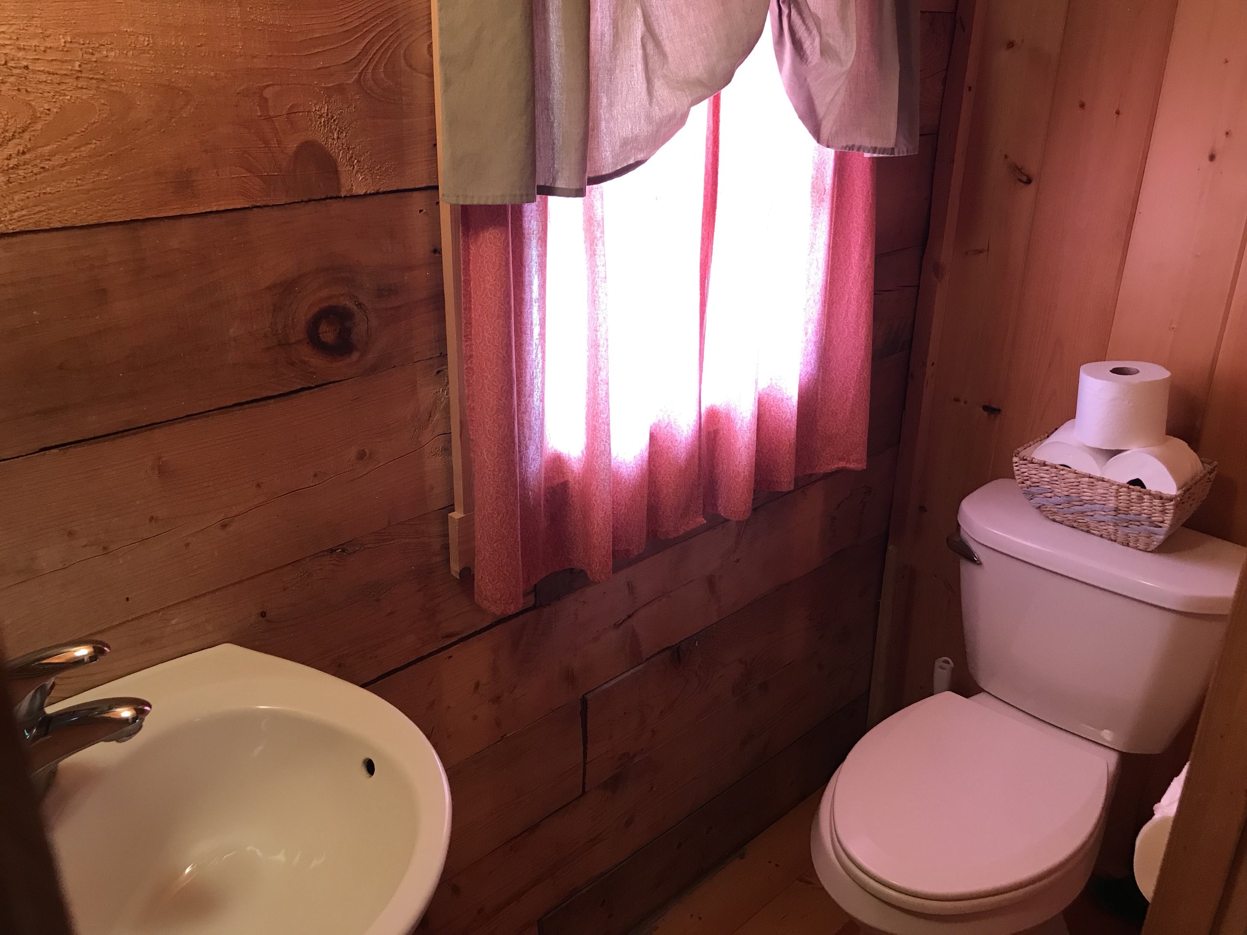 Loft cabin - half bath w/ sink