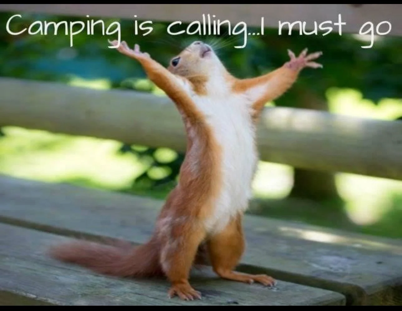 It's Game On! for 2024 camping season