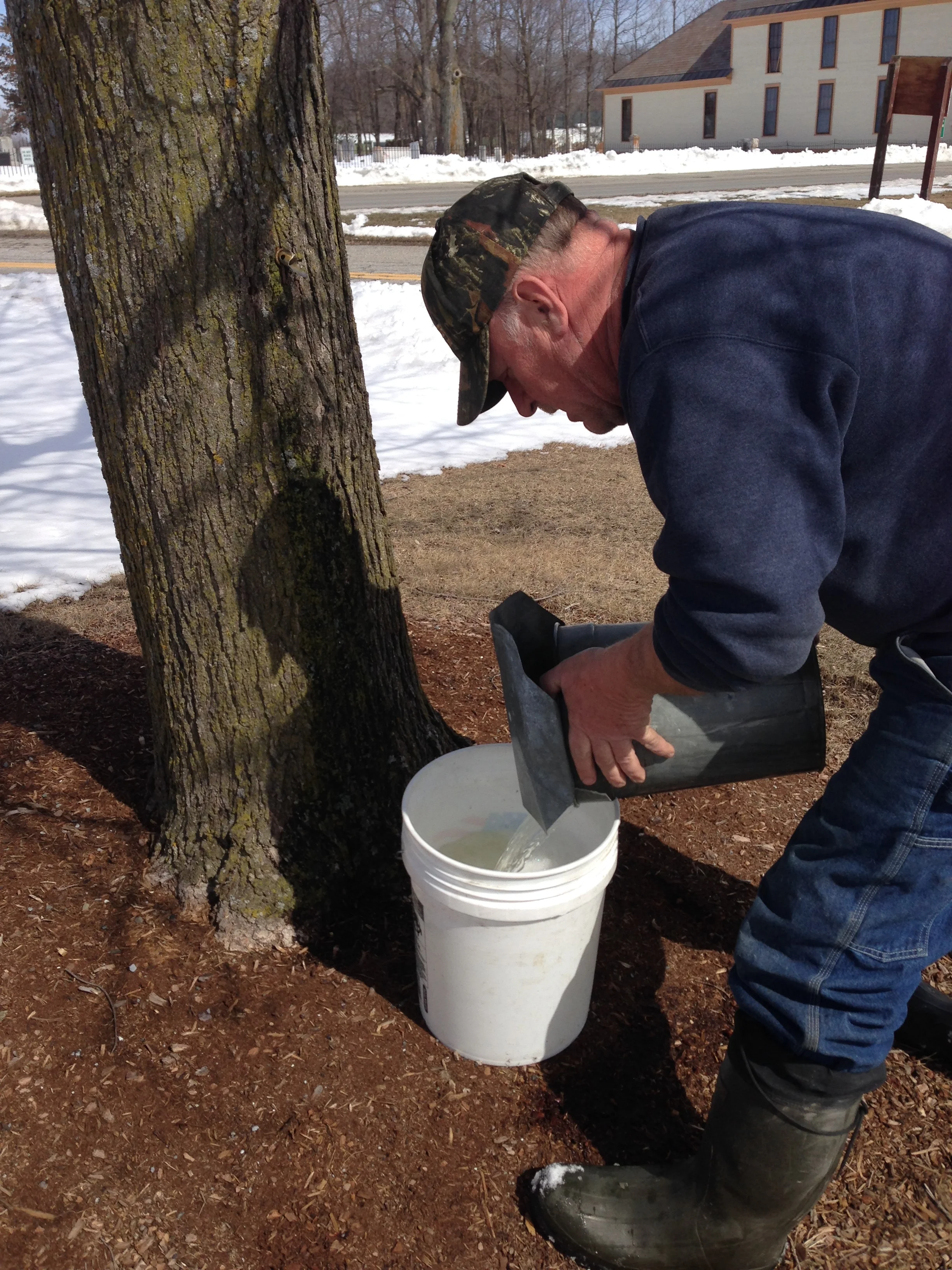 Sap Collection - 2018