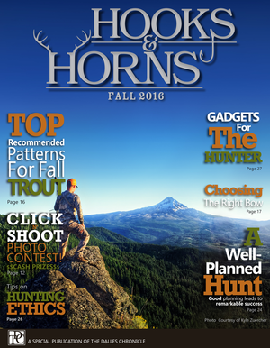 Cover page of publication