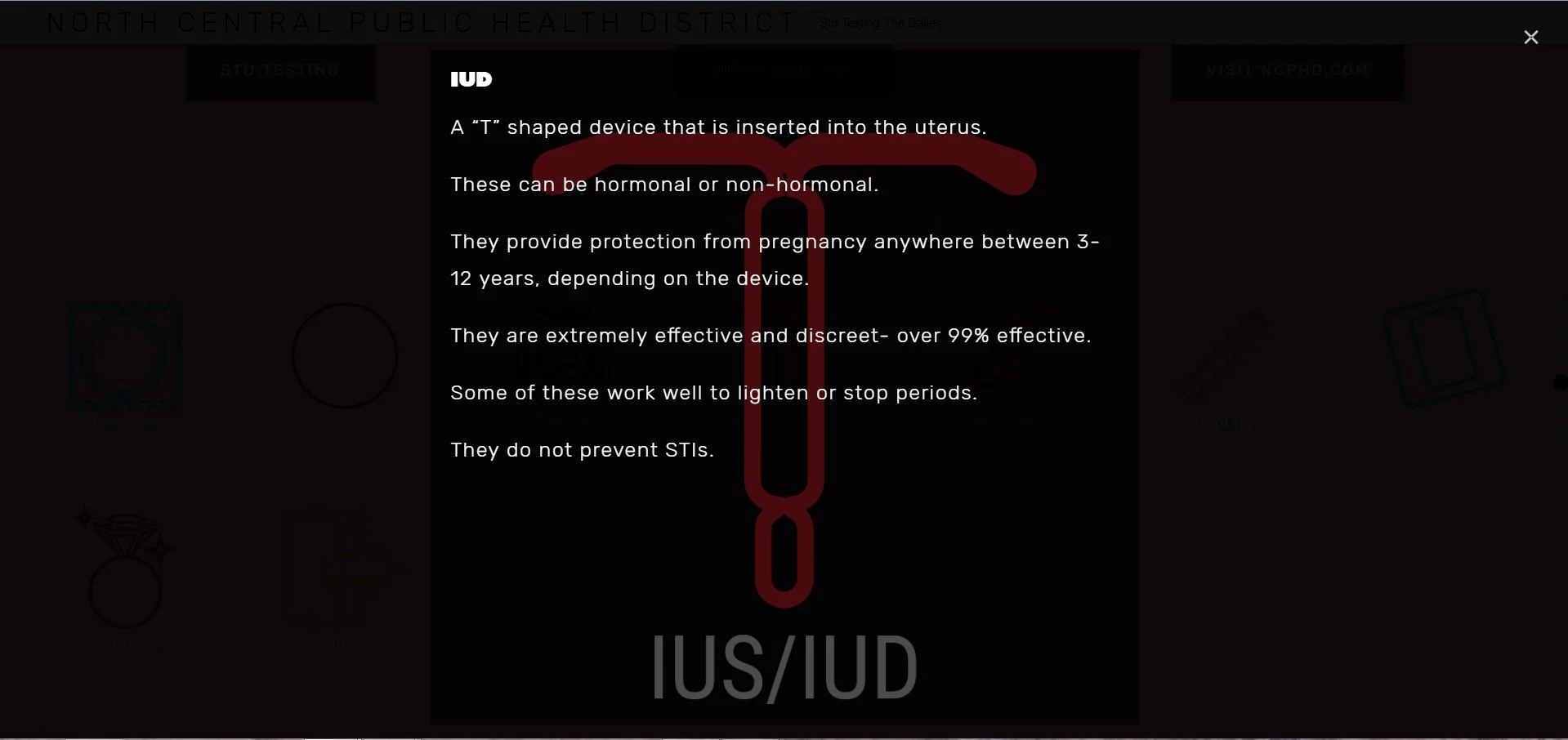 Hover action on lightbox gallery