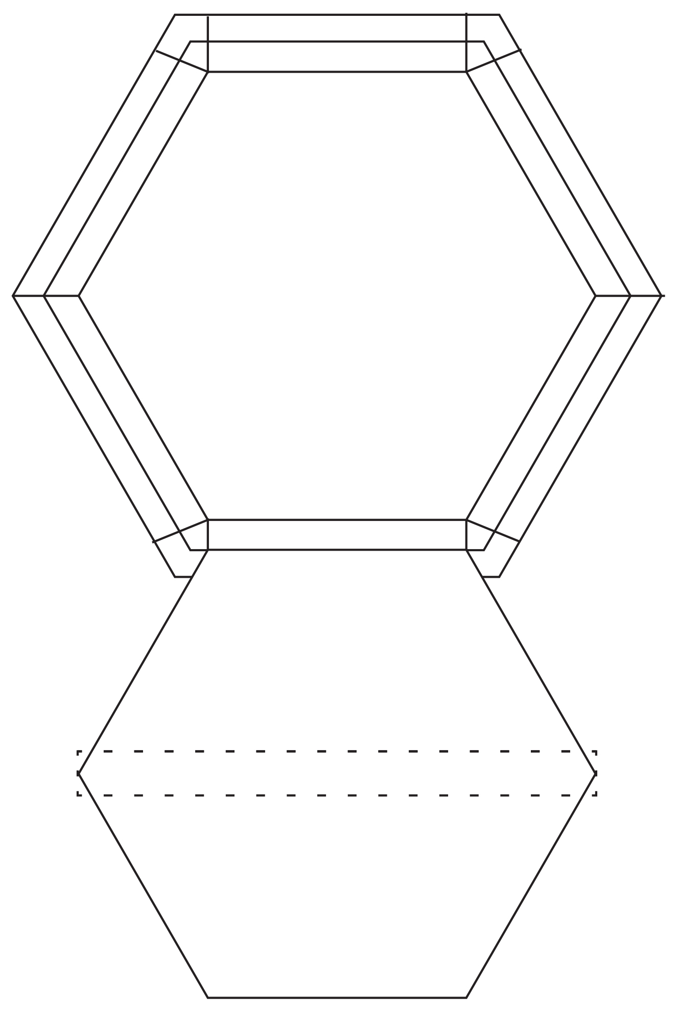bee salve-packaging di cut.jpg