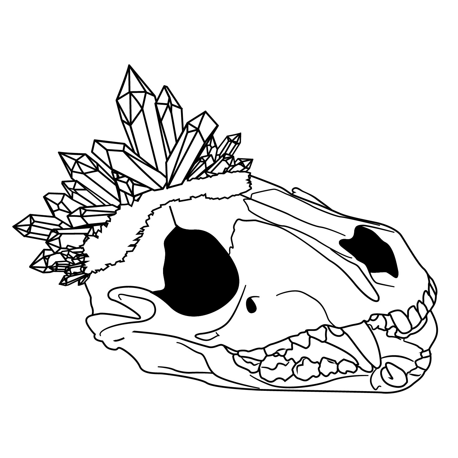 skull-01.jpg