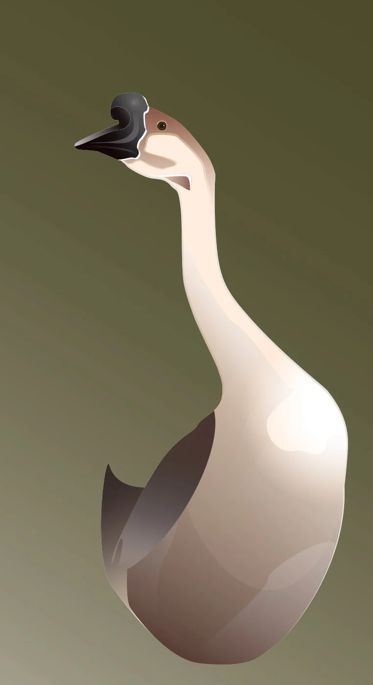 goose.jpg