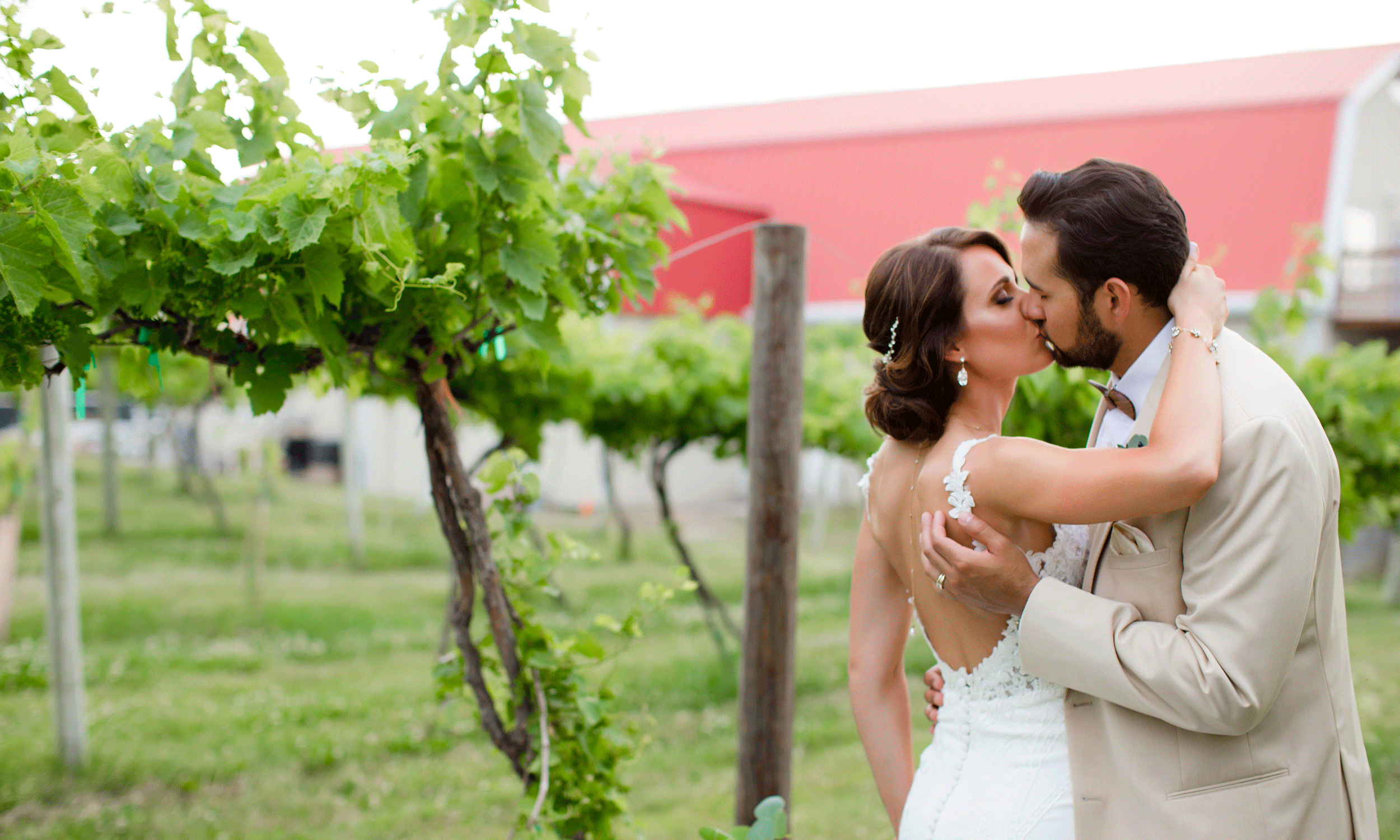 summerst_winery_wedding5.gif