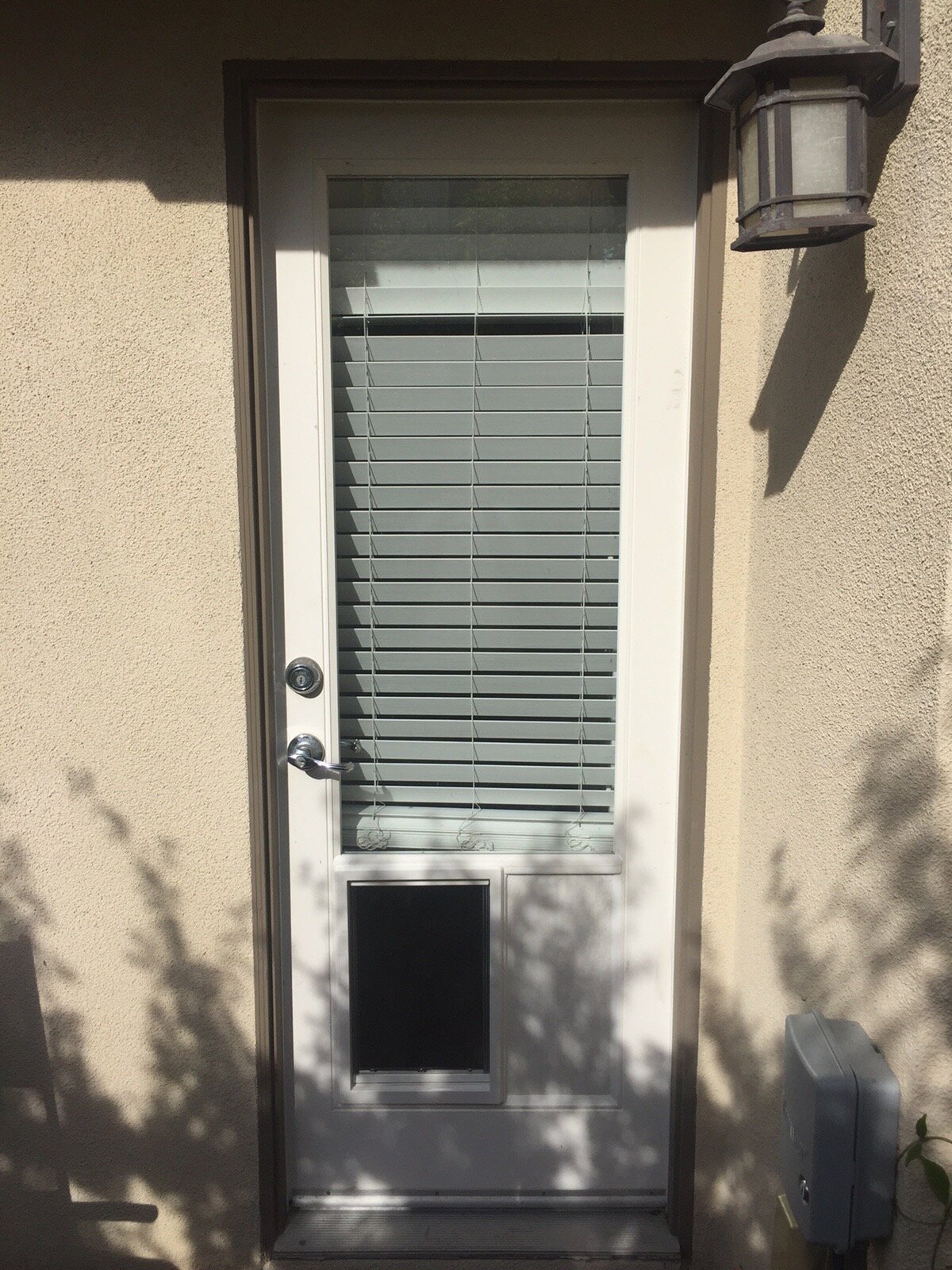 dual glass and doggie door install.jpg